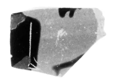 Attic Black-Figure Band Cup Fragment