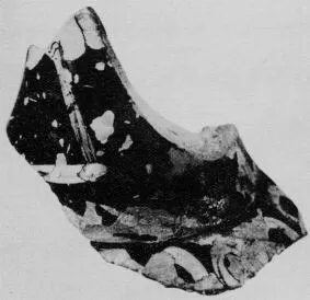 LOUTROPHOROS, FRAGMENT (ATHENIAN, RED-FIGURE)