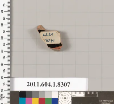 Terracotta fragment of a kylix (drinking cup)