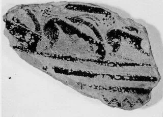 AMPHORA, NECK, FRAGMENT (ATHENIAN GEOMETRIC, SILHOUETTE)