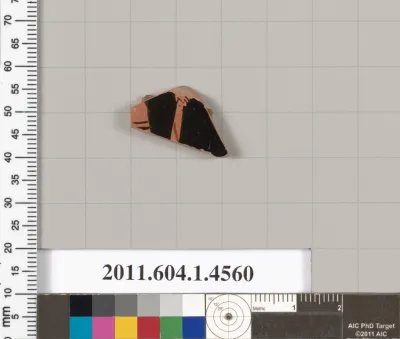 Terracotta fragment of a kylix (drinking cup)