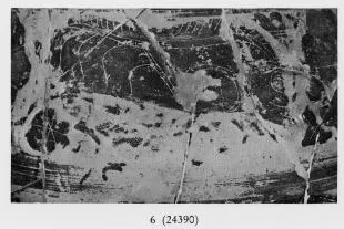 OLPE (ETRUSCO-CORINTHIAN, BLACK-FIGURE)