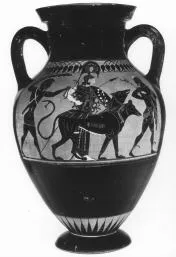 AMPHORA, BELLY, TYPE B (ATHENIAN, BLACK-FIGURE)