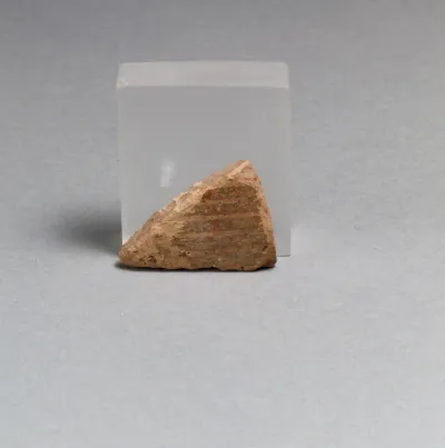 Vase fragment