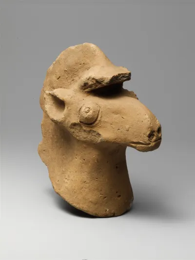 Terracotta head of a horse