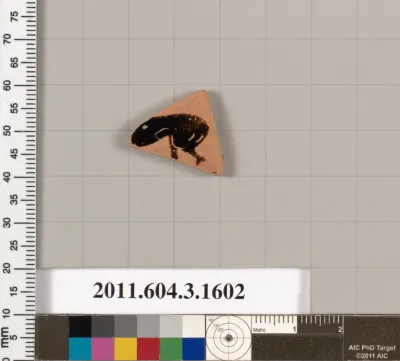 Terracotta fragment of a kylix: Band cup (drinking cup)