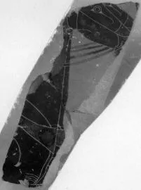FRAGMENT (ATHENIAN, BLACK-FIGURE)