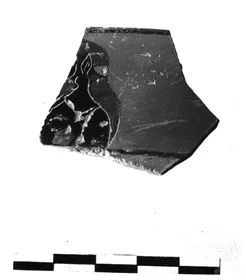 CUP, SIANA, FRAGMENT (ATHENIAN, BLACK-FIGURE)