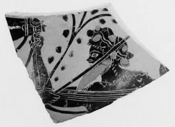 AMPHORA, NECK (?), FRAGMENT (ATHENIAN, BLACK-FIGURE)