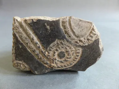vase ; fragment