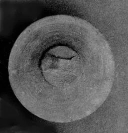 LID (CRETAN)