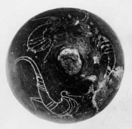 LID (VILLA NOVA)