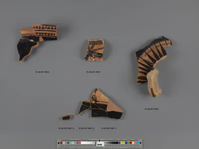 Attic Black-Figure Column Krater Fragment (part of 81.AE.207.408.7, comprised of 3 Joined Fragments)