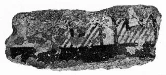 AMPHORA, BELLY, FRAGMENT (THERAN)