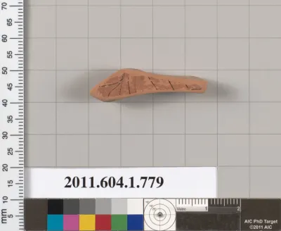 Terracotta fragment of a kylix (drinking cup)