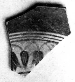 CUP, SIANA, FRAGMENTS (ATHENIAN, BLACK-FIGURE)