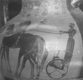 AMPHORA, BELLY, TYPE B (ATHENIAN, BLACK-FIGURE)