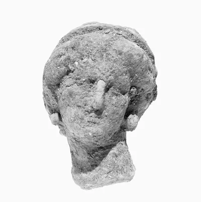 Head with Melon Coiffure
