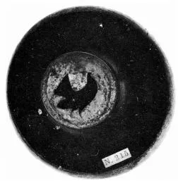 CUP, FRAGMENT (ATHENIAN, BLACK-FIGURE)