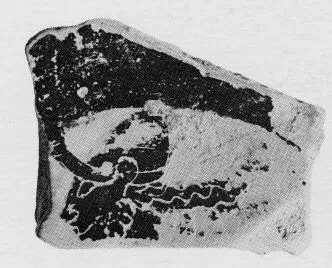 CUP, FRAGMENT (ATHENIAN, BLACK-FIGURE)