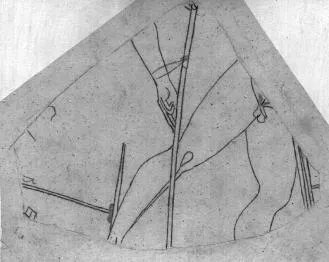 PELIKE (ATHENIAN, RED-FIGURE)