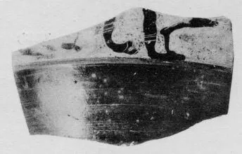 AMPHORA, BELLY, FRAGMENT (ATHENIAN, BLACK-FIGURE)