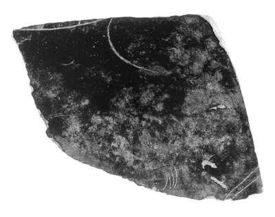 Etruscan Black-Figure Vase Fragment