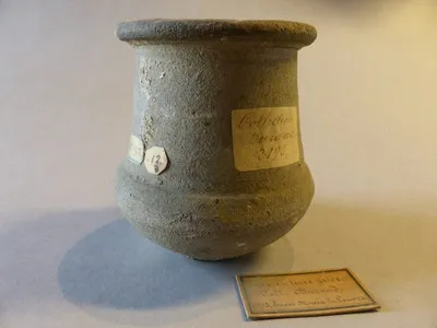 pot