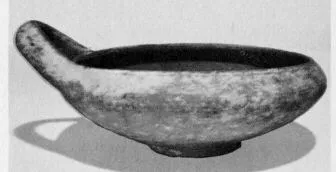 DISH (SOUTH ITALIAN)
