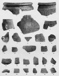 VARIOUS (VUCEDOL)