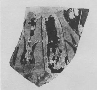 HYDRIA, FRAGMENT (EUBOEAN, BLACK-FIGURE)