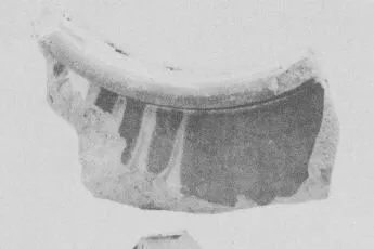 AMPHORA, NECK, FRAGMENT (ATHENIAN, BLACK-FIGURE)