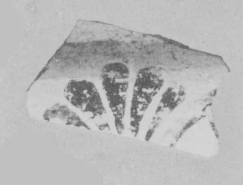 AMPHORA, BELLY, FRAGMENT (EAST GREEK, FIKELLURA)