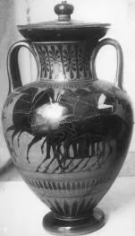 AMPHORA, NECK AND LID (ATHENIAN, BLACK-FIGURE)