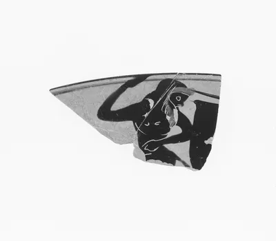 Attic Black-Figure Cup Fragment