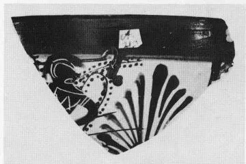 SKYPHOS, FRAGMENT (ATHENIAN, BLACK-FIGURE)