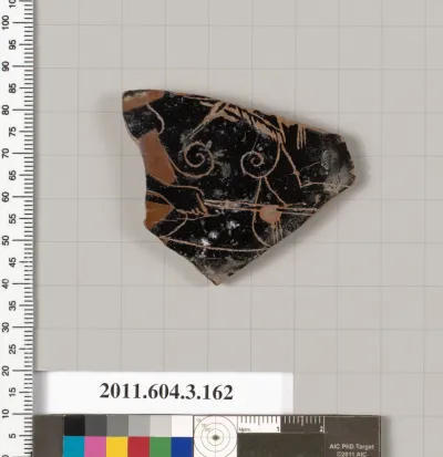 Terracotta fragment of an amphora (jar)