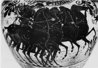 AMPHORA, NECK (ATHENIAN, BLACK-FIGURE)