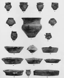 VARIOUS (OMOLJICA)