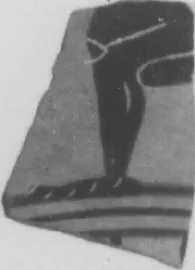 CUP, FRAGMENT (ATHENIAN, BLACK-FIGURE)