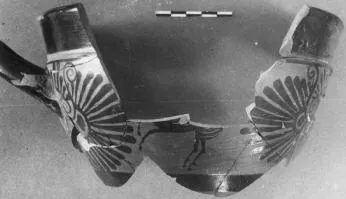 SKYPHOS, FRAGMENT (ATHENIAN, BLACK-FIGURE)