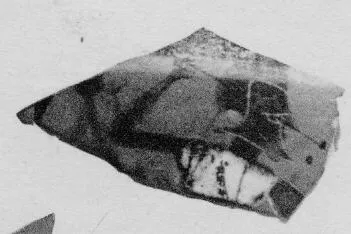 CUP DROOP, FRAGMENT (ATHENIAN, BLACK-FIGURE)