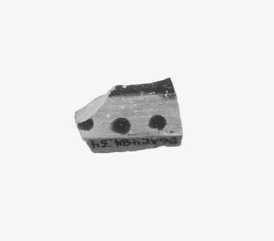 Attic Black-Figure Cup Fragment