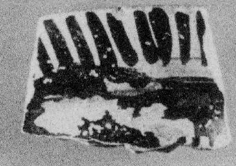 AMPHORA, BELLY, FRAGMENT (EAST GREEK)