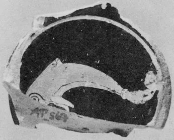 CUP, FRAGMENT (ATHENIAN, RED-FIGURE)