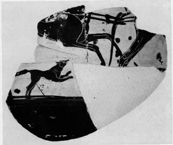 OINOCHOE, FRAGMENTS (ATHENIAN, BLACK-FIGURE)