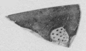 CUP, FRAGMENT (ATHENIAN, RED-FIGURE)