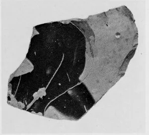 AMPHORA (?), FRAGMENT (ATHENIAN, BLACK-FIGURE)