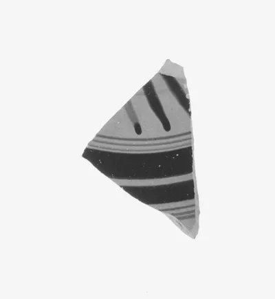 Attic Black-Figure Siana Cup Fragment