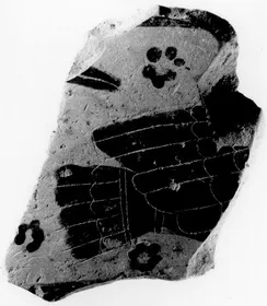 AMPHORA, BELLY, FRAGMENT (ATHENIAN, BLACK-FIGURE)